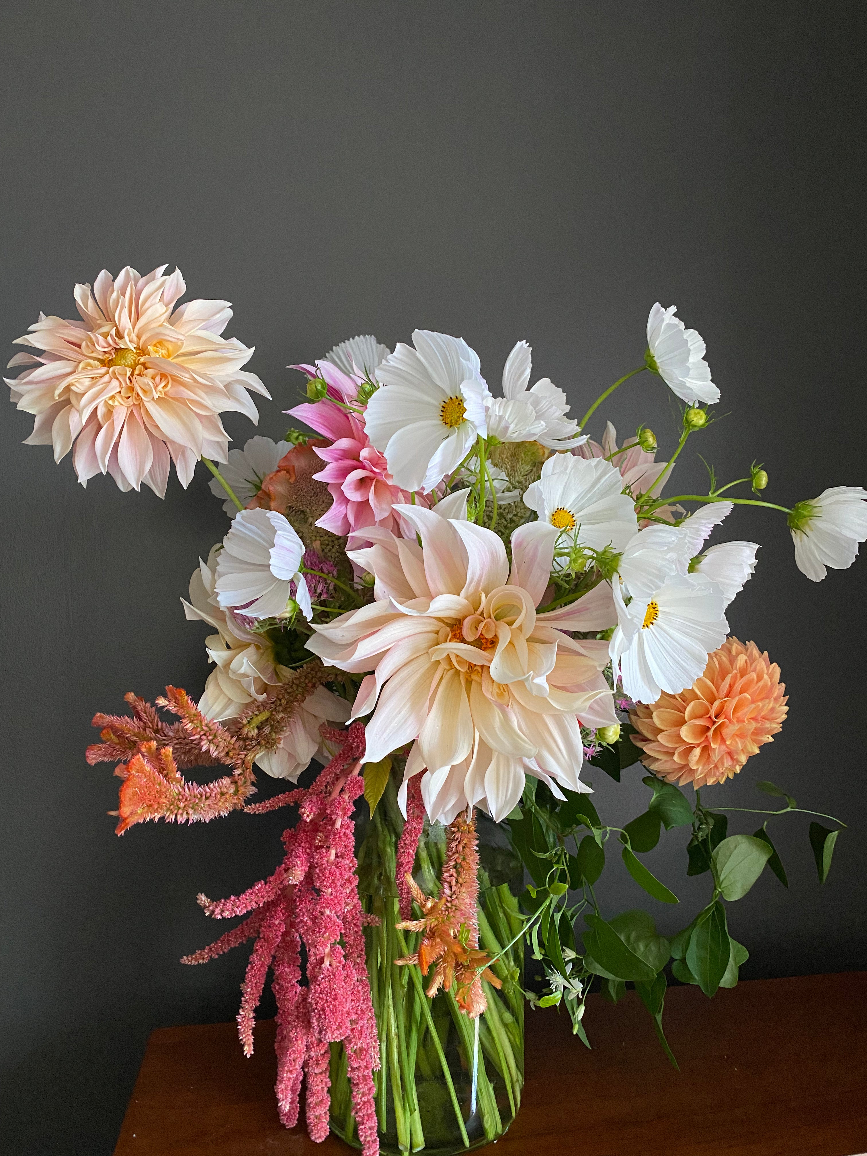 small farm dahlias, beautiful dahlias, high quality dahlias, bouquet dahlias